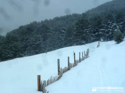 Raquetas de Nieve - Puerto de Cotos; senderos gr; turismo en la sierra de madrid;equipamiento para h